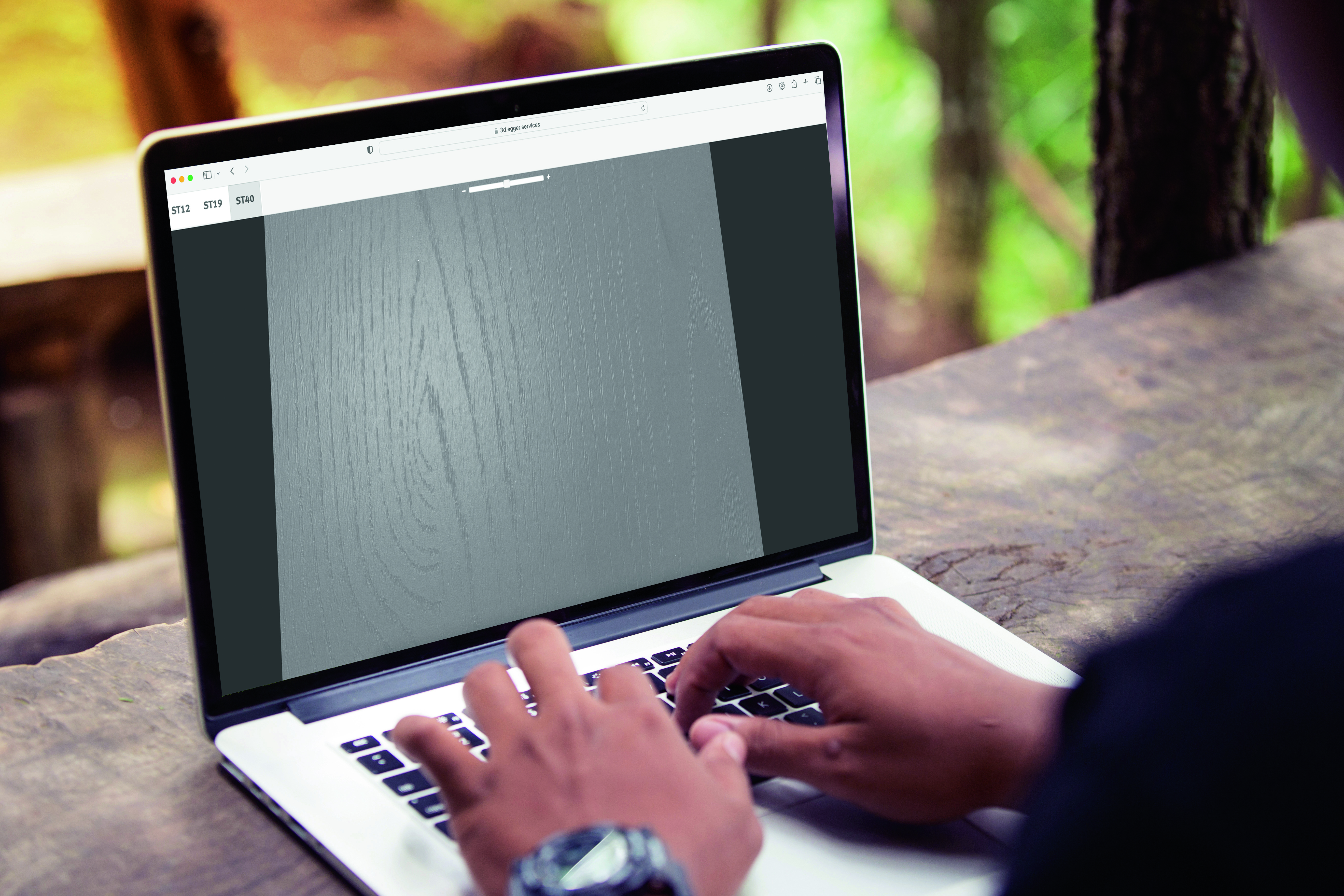 02PI_CO_AM_laptop_3D_visualiser.jpg